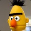 Bert