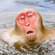 At78910 - steam id 76561199550705745