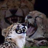 iminjungle11's avatar