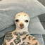Avatar of player опердіш