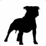 staffy
