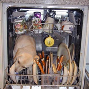 Sloppy Chocolate Dishwasher
