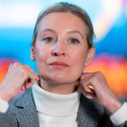 Dr. Alice Weidel - steam id 76561197960513077