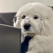 更喜欢被拖着走？