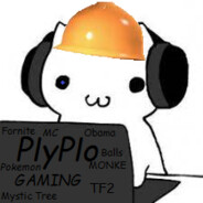 PLYPLO