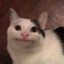 dAn
