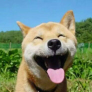 骑老奶奶闯红灯