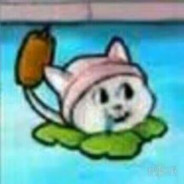 美国航空航天吃饭委员会会长