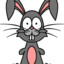Funny Bunny