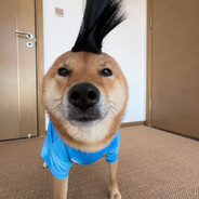 如果手和脚打起来 我愿意为了手赢而打脚