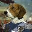 Professor Funny Beagle Dog