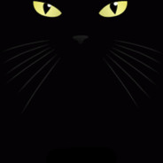 Darkcat