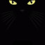 Darkcat