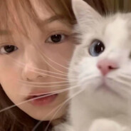 你想尝尝美味蟹堡吗