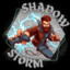 Shadow Storm