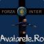 ::forzza_inter::