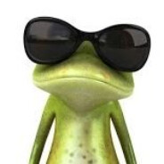 Sapo Cego