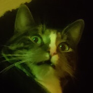 Avatar snapshot