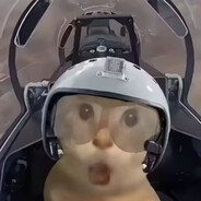 耄儿这个凌云壮志