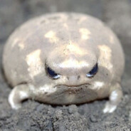 fatfroggy
