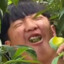 农村成杰