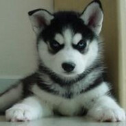 娃儿凶的批爆灬