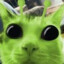 Callisto