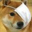 Doctor Doge