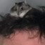 kasper