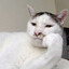 Powerful Cat