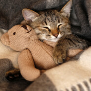 哈哈哈哈哈哈哈哈哈哈