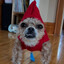 Cherpak's avatar