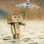 Danbo