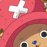 南五环种西瓜的猴天宝