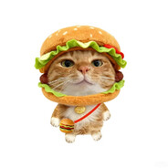 脱裤子放屁（满删）