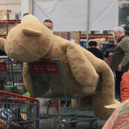 又携书剑路茫茫