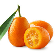 Kumquat