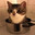 Acrux Steam avatar