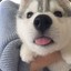 Hug your legs (｡◕‿◕｡)