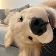 我怎么可以这么帅