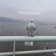 去码头整点薯条