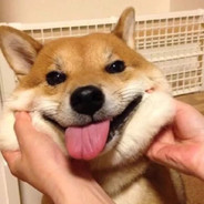 魔法少女狗蛋子