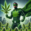 Herbhero