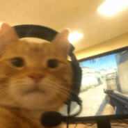 catnip's avatar
