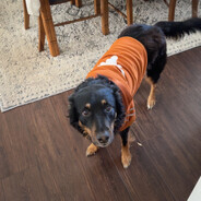 aon - steam id 76561198126773662