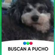 tu hermana