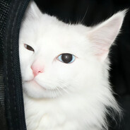 𝓭𝓸𝓷'𝓽 𝓵𝓸𝓿