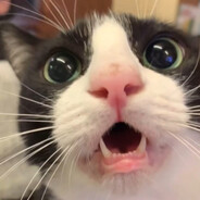 myqster - steam id 76561199219458220