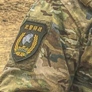 国家宪兵特勤队