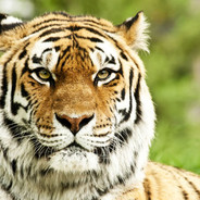 让我抱一下可以吗